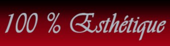 100% Esthétique, Professionnel de l'Esthétique et de la Beauté en Côte-d'Or